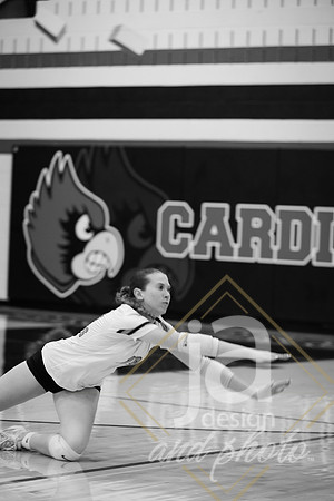NOHSvsBrooksideVolleyball@jadesignandphoto-197