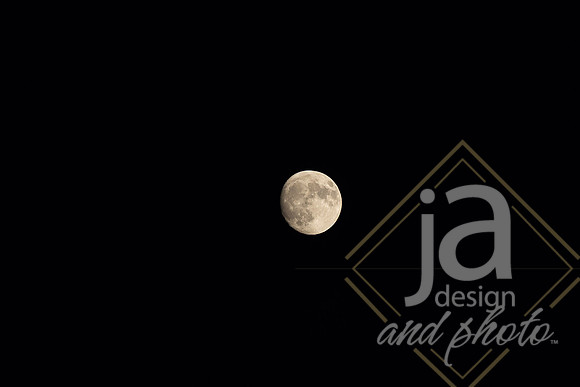 NOHSvsBrooksideVolleyball@jadesignandphoto-422