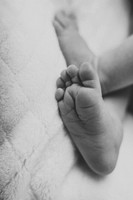 PresleyGraySaloNewborn@jadesignandphoto-19