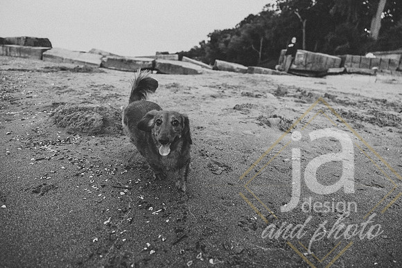 JnBEngagement26@jadesignandphoto-253