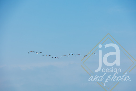 HinesWatsonextfam26@jadesignandphoto-249