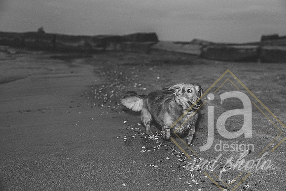 JnBEngagement26@jadesignandphoto-250
