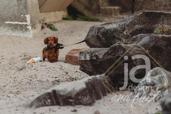 J+BEnagement26@jadesignandphoto-100