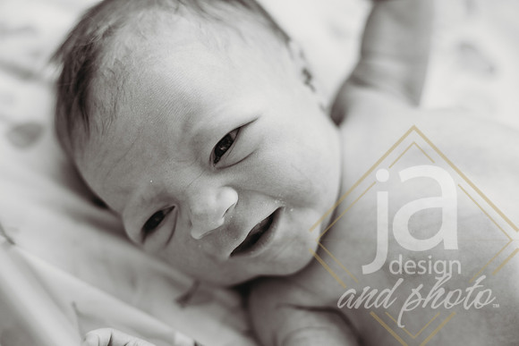 HarmanFresh48-@jadesignandphoto62
