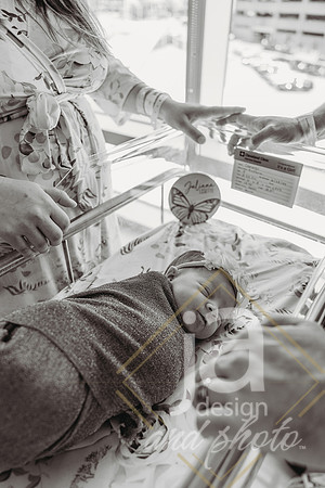 HarmanFresh48-@jadesignandphoto41