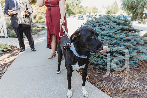 mayerwedding_Ceremony-@jadesignandphoto32
