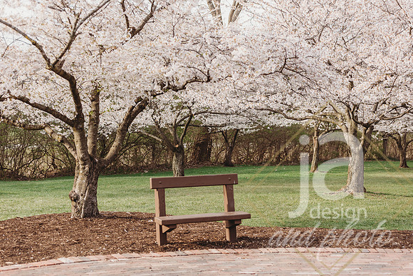 LisEngagement25@jadesignandphotollc11