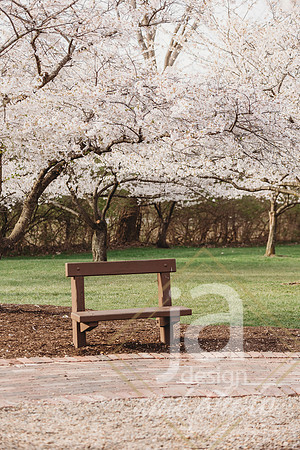 LisEngagement25@jadesignandphotollc10
