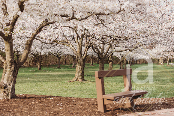 LisEngagement25@jadesignandphotollc13