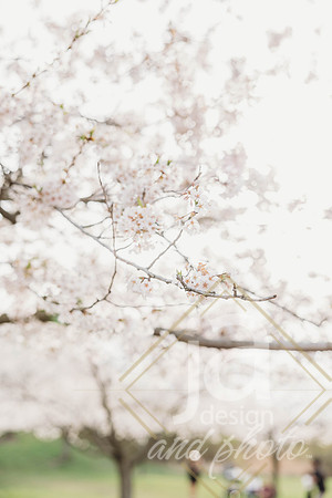 LisEngagement25@jadesignandphotollc2
