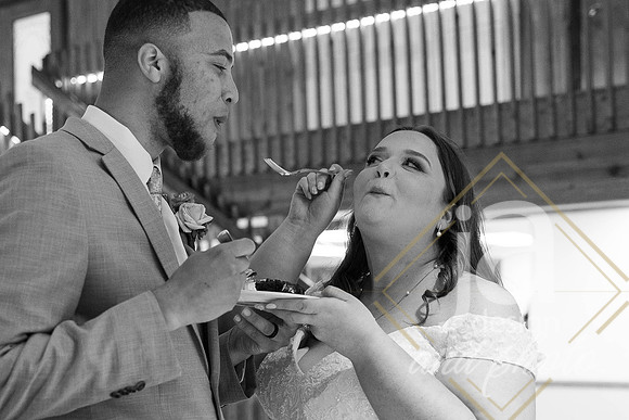 JohnsonWedding_CHReception@jadesignandphotollc195