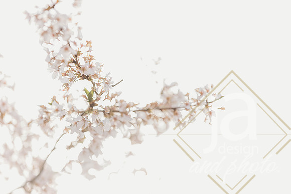 LisEngagement25@jadesignandphotollc9