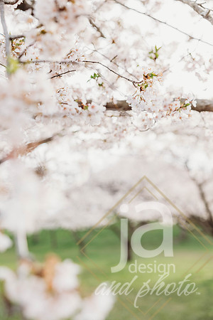 LisEngagement25@jadesignandphotollc4